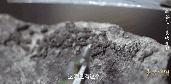 640?wx_fmt=gif 图片
