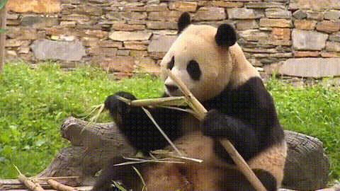 640?wx_fmt=gif 图片