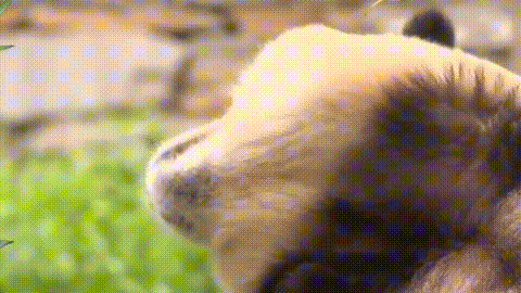 640?wx_fmt=gif 图片